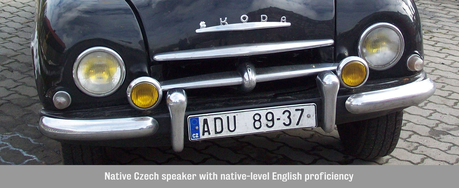 Czech Language Services